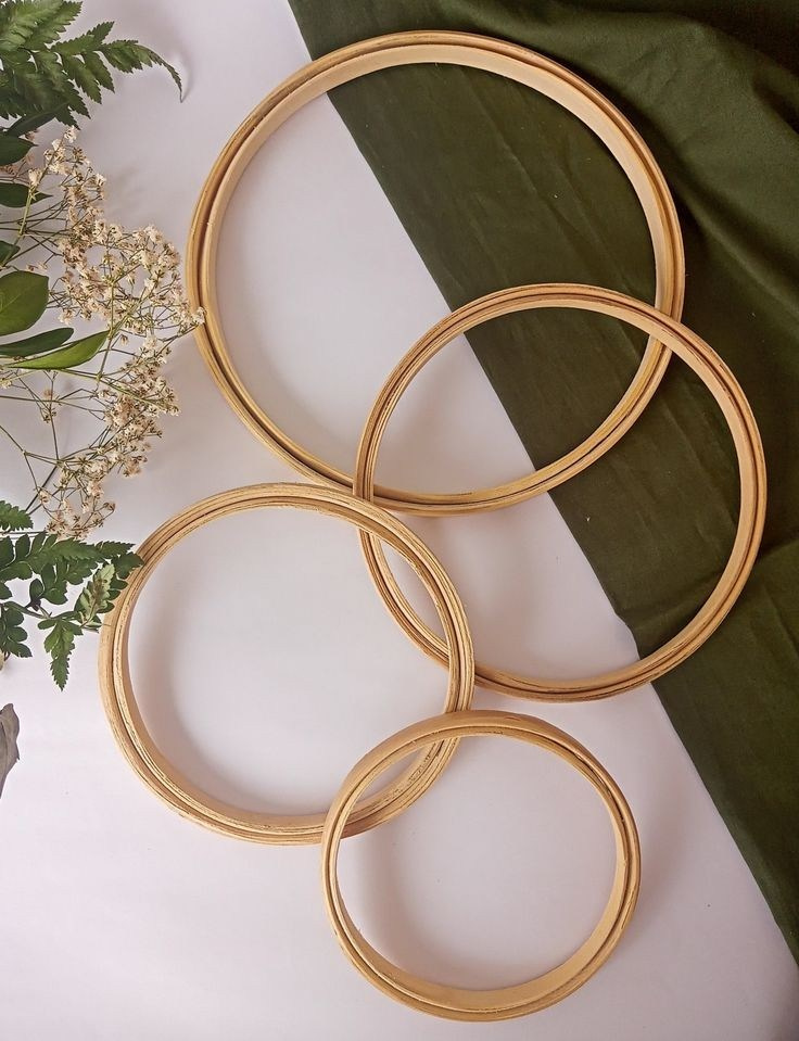 Соколёна. Фотограф Надежда Миронова Вологда