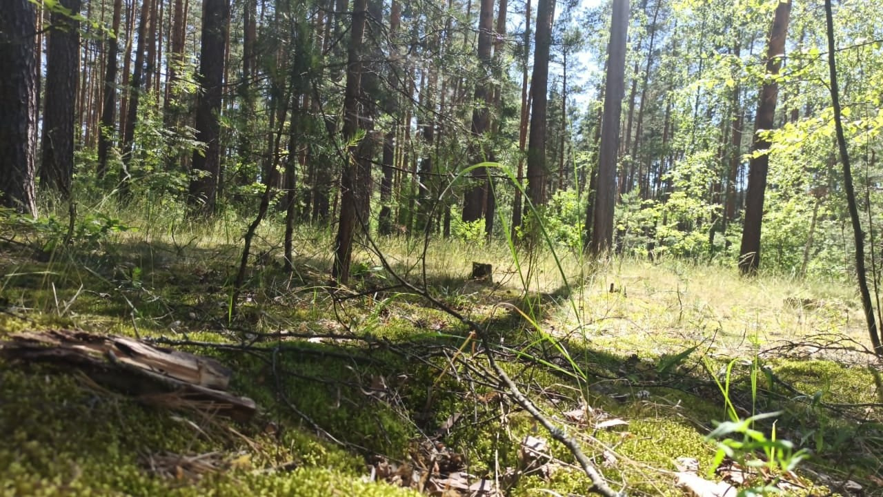 Сплав на байдарках | 19-20.06.21. Галерея Фантим