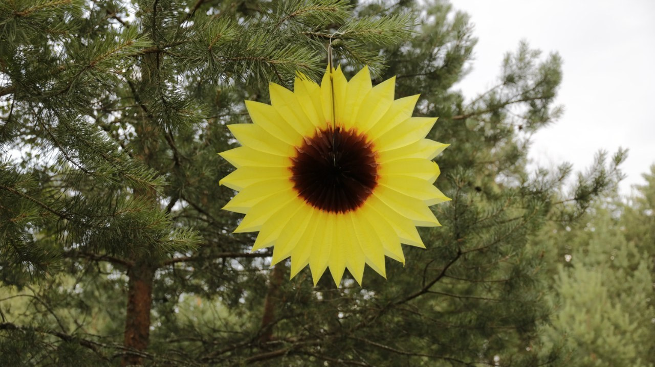 Походная романтика 18! Дети цветов | 01-03.07.2016. Галерея Фантим