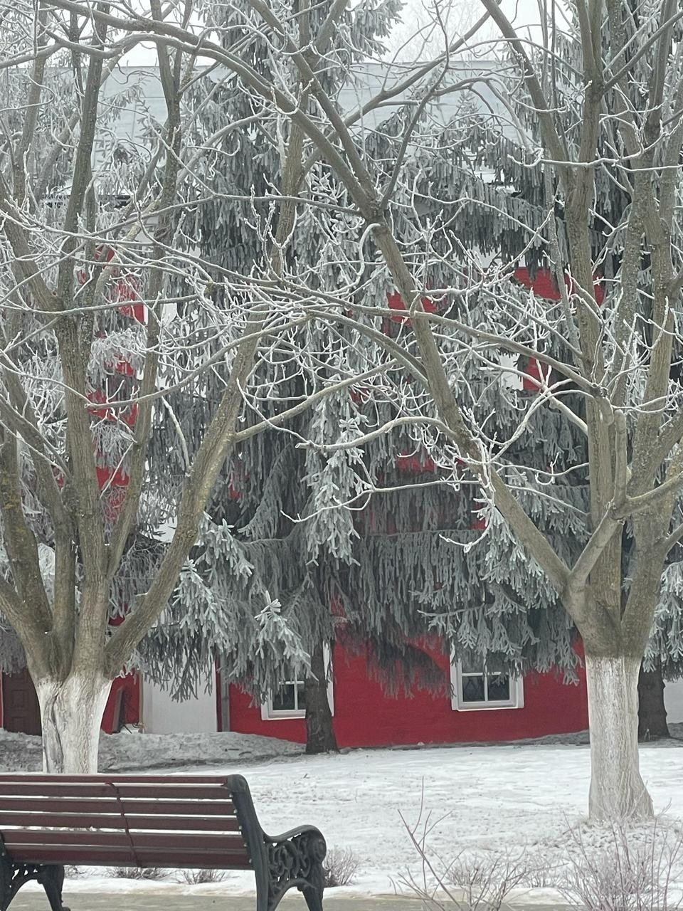 Кострома | 08-09.02.2025. Галерея Фантим