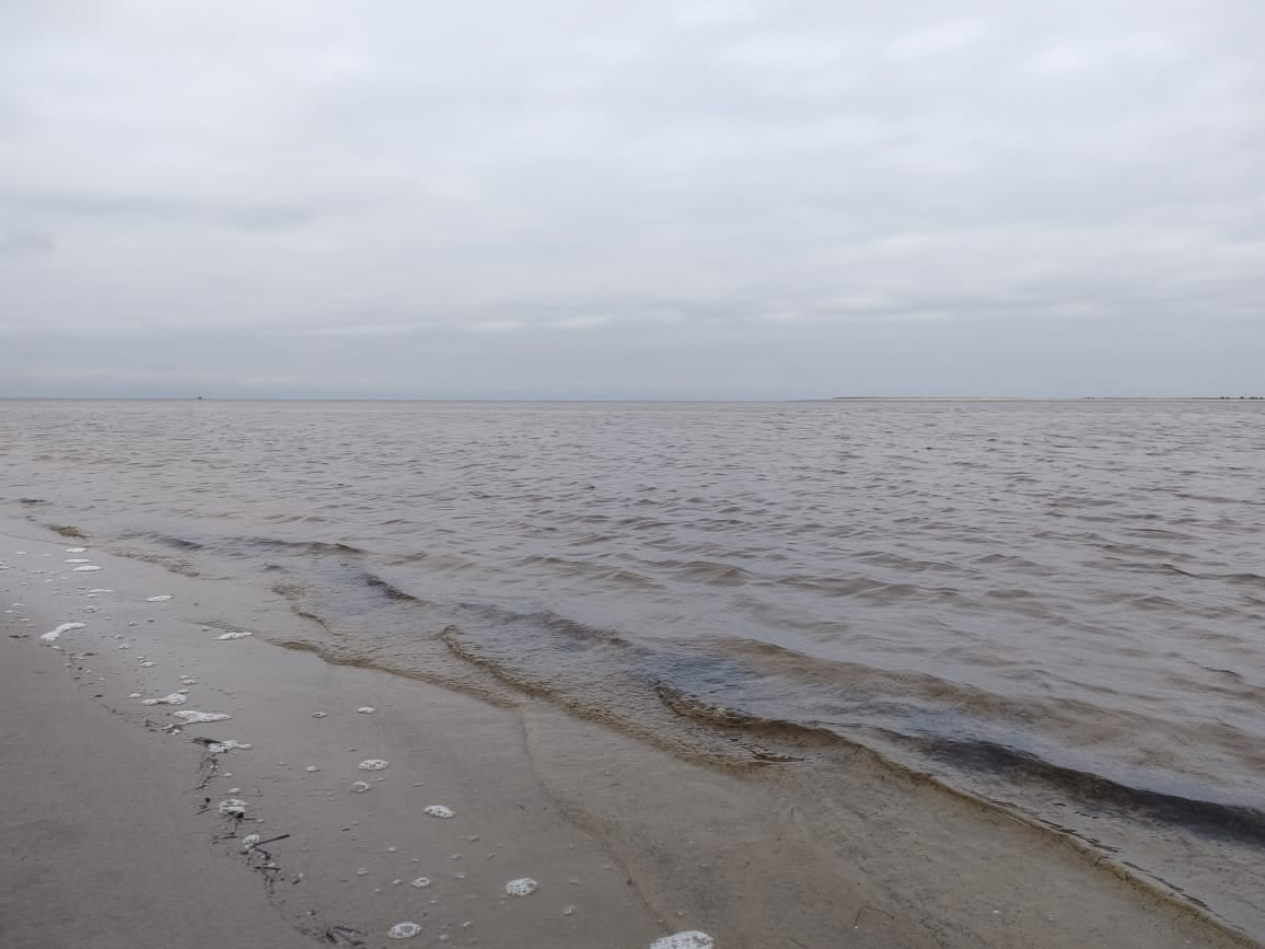 Архангельск | 08.05 — 11.05.2025. Галерея Фантим