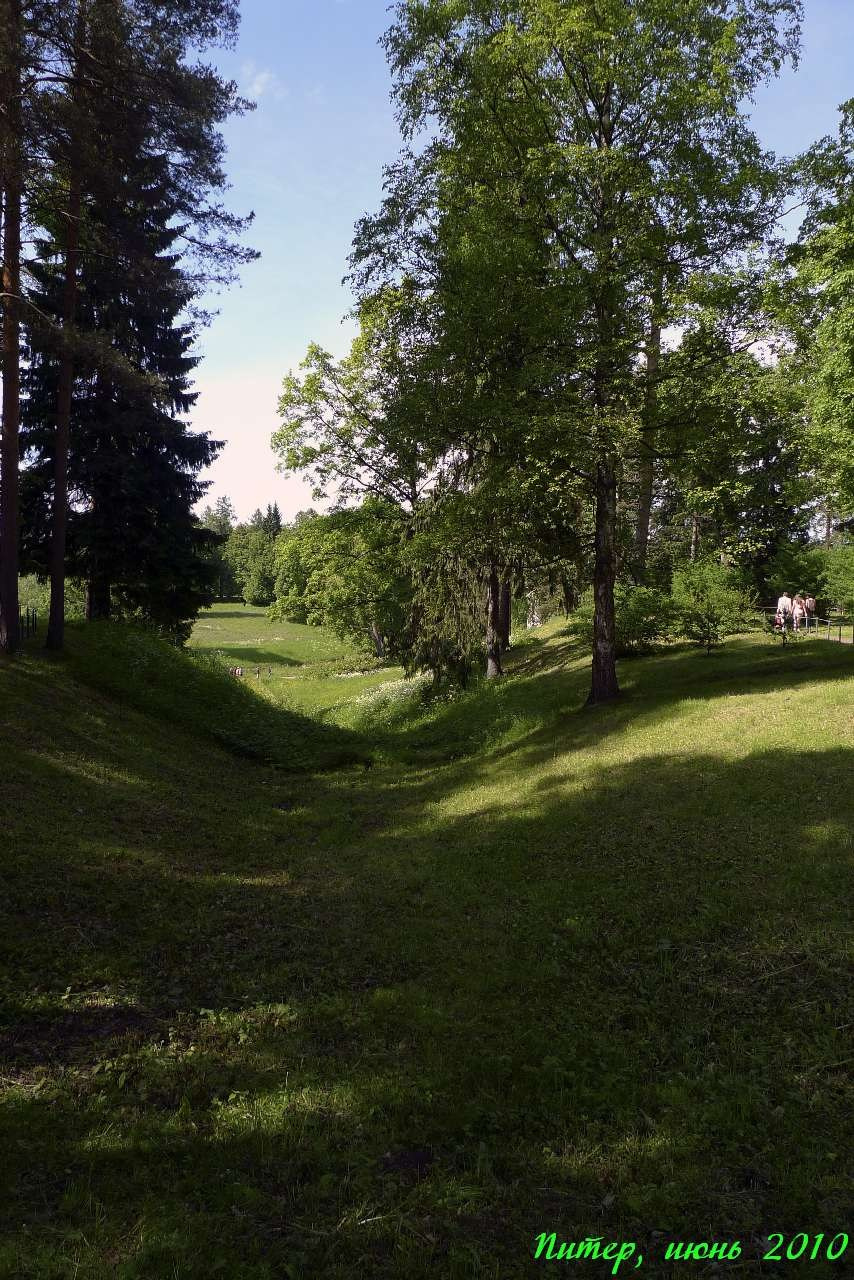 Питер 2010 г. Улица, люди, жизнь…