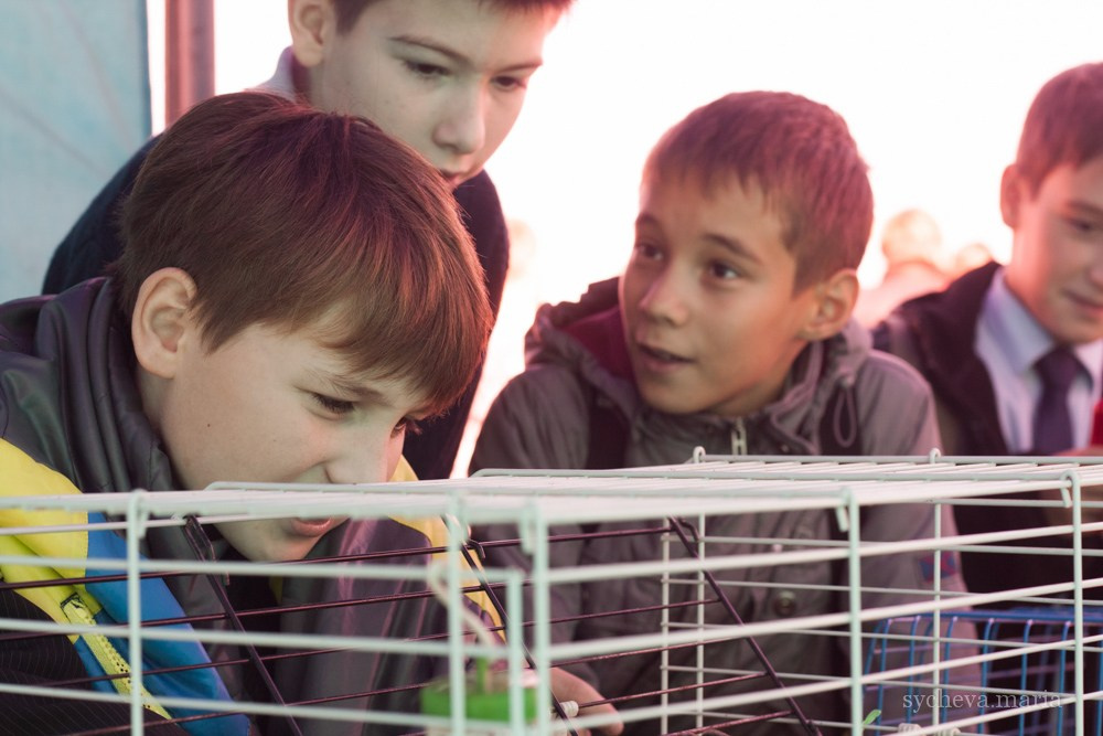 Ярмарка талантов. Детский и семейный фотограф, фотограф мероприятий Нижний Новгород