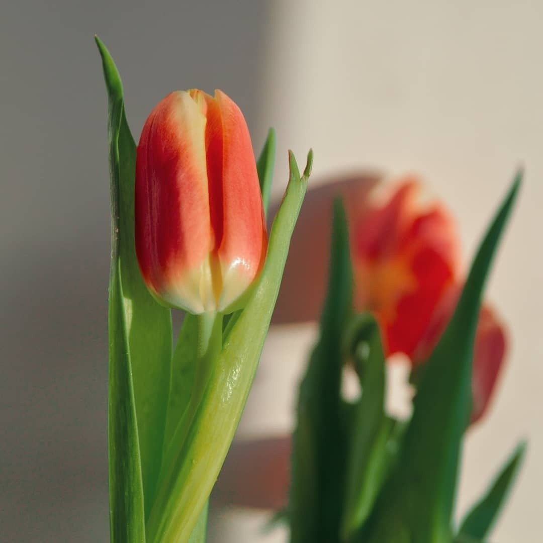 Фотограф-видеограф Познякова Любовь