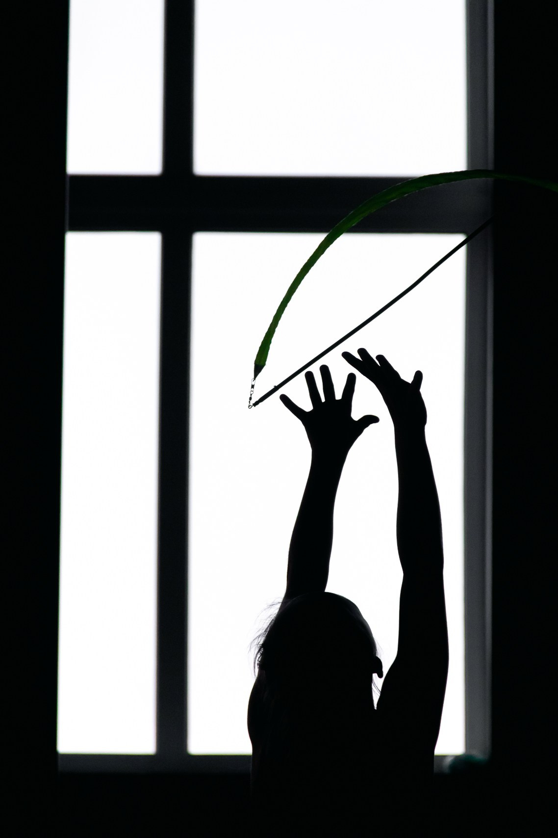 Сборы по художественной гимнастике у «Колибри». Фотограф из Краснодара Андрей Тукан