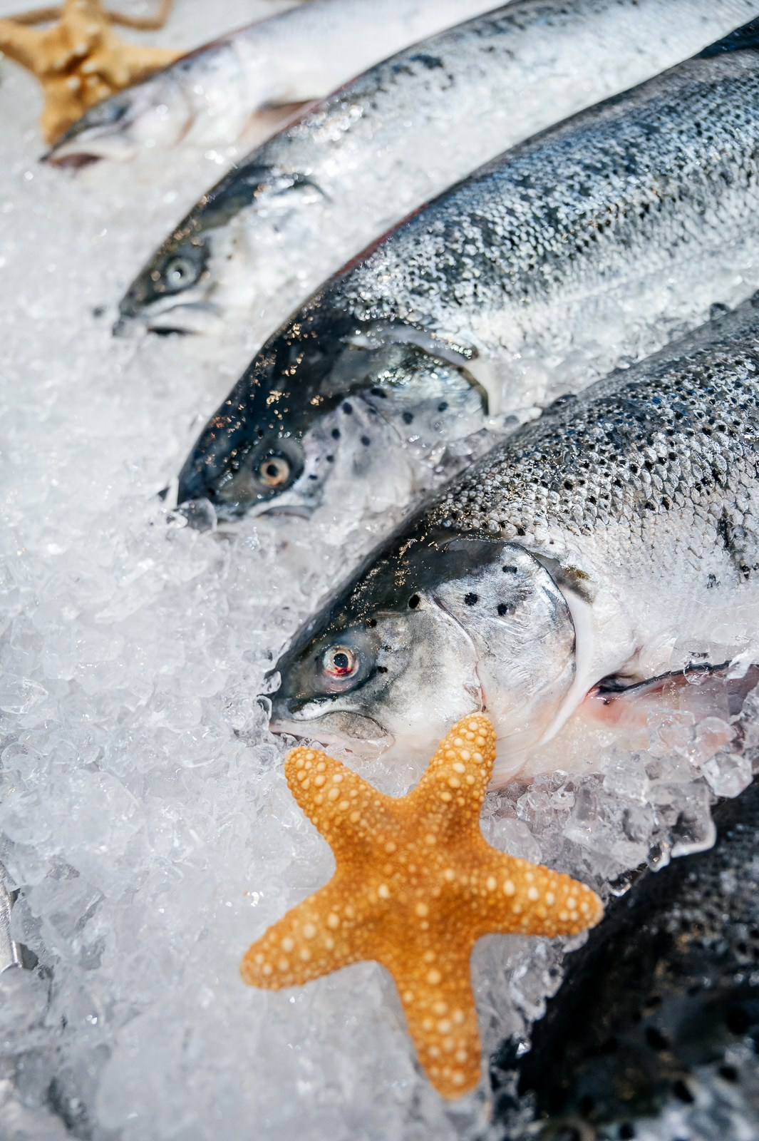 Рыбный форум. Фотограф Дмитрий Сермяжко