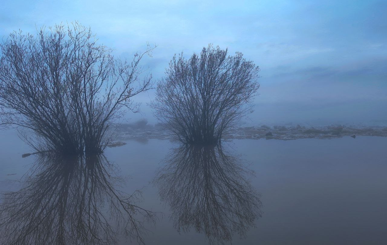 Natalya Konteyeva photographer