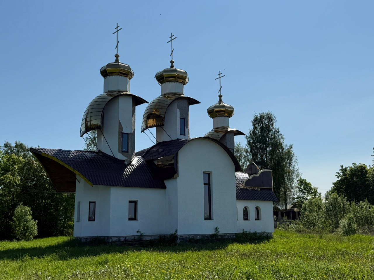 Ладога Трофи. Своя Мастерская