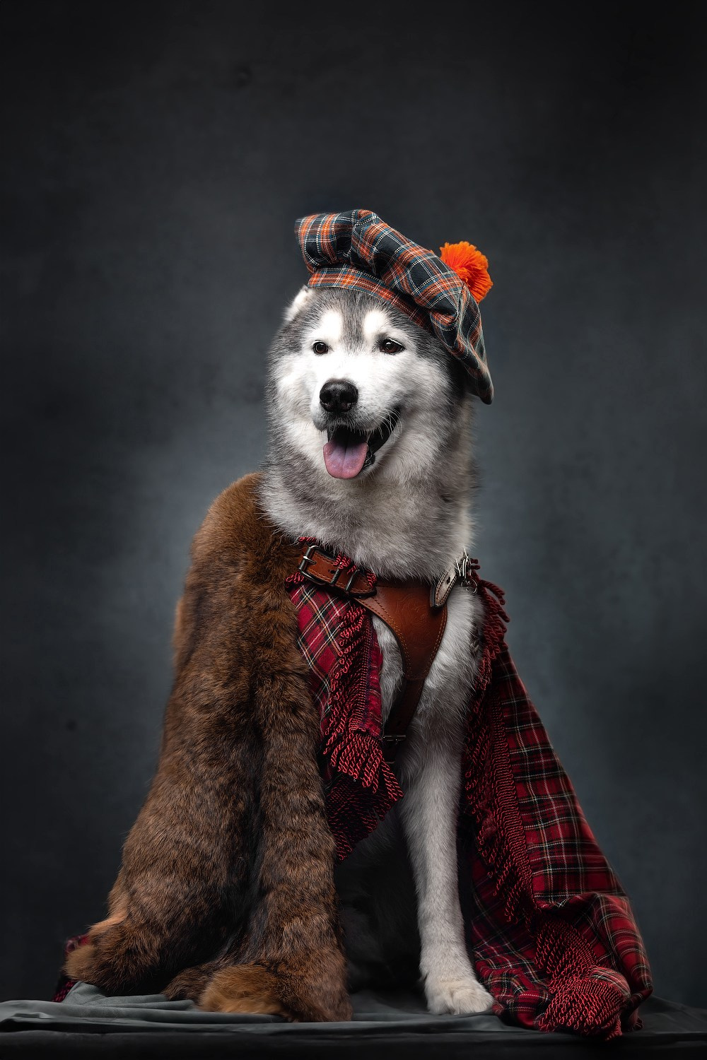 Портфолио: Фотосъёмка собак в Москве и области — авторские образы. Фотограф-анималист и бренд-фотограф в Москве | Фотография собак, людей, бизнес-портрет