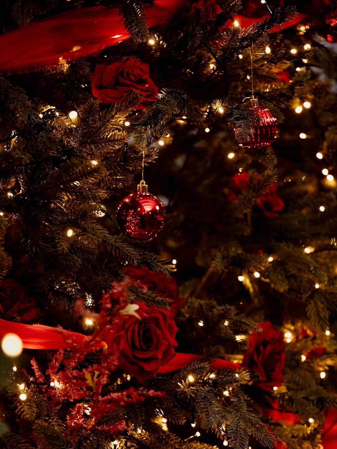 Зал BLACK APART (Воропаева). Фотограф для жизни, бизнеса и соц сетей Ирина Нечет, Владивосток