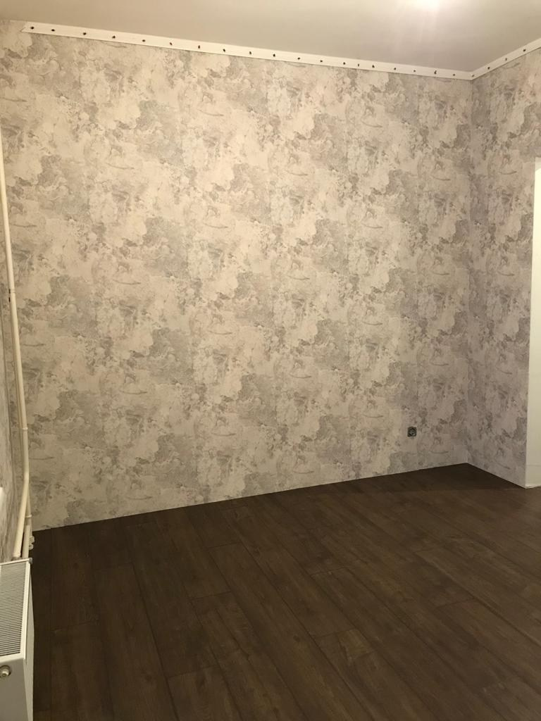 Обои. Мамонт