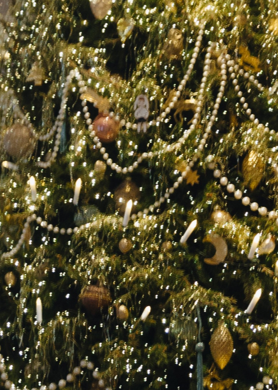 NUANCE — Ёлка. Destination wedding photographer Mary Korenchuk