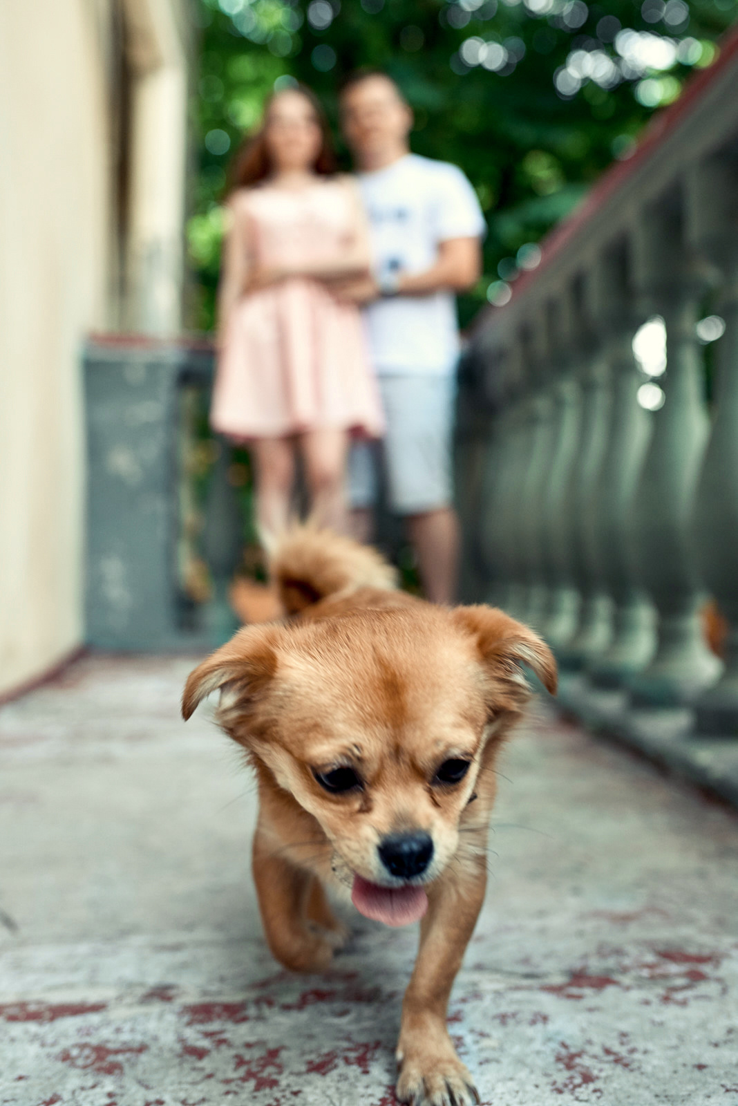 Алексей и Екатерина. Свадебный и портретный фотограф в Брянске Дмитрий Борисов