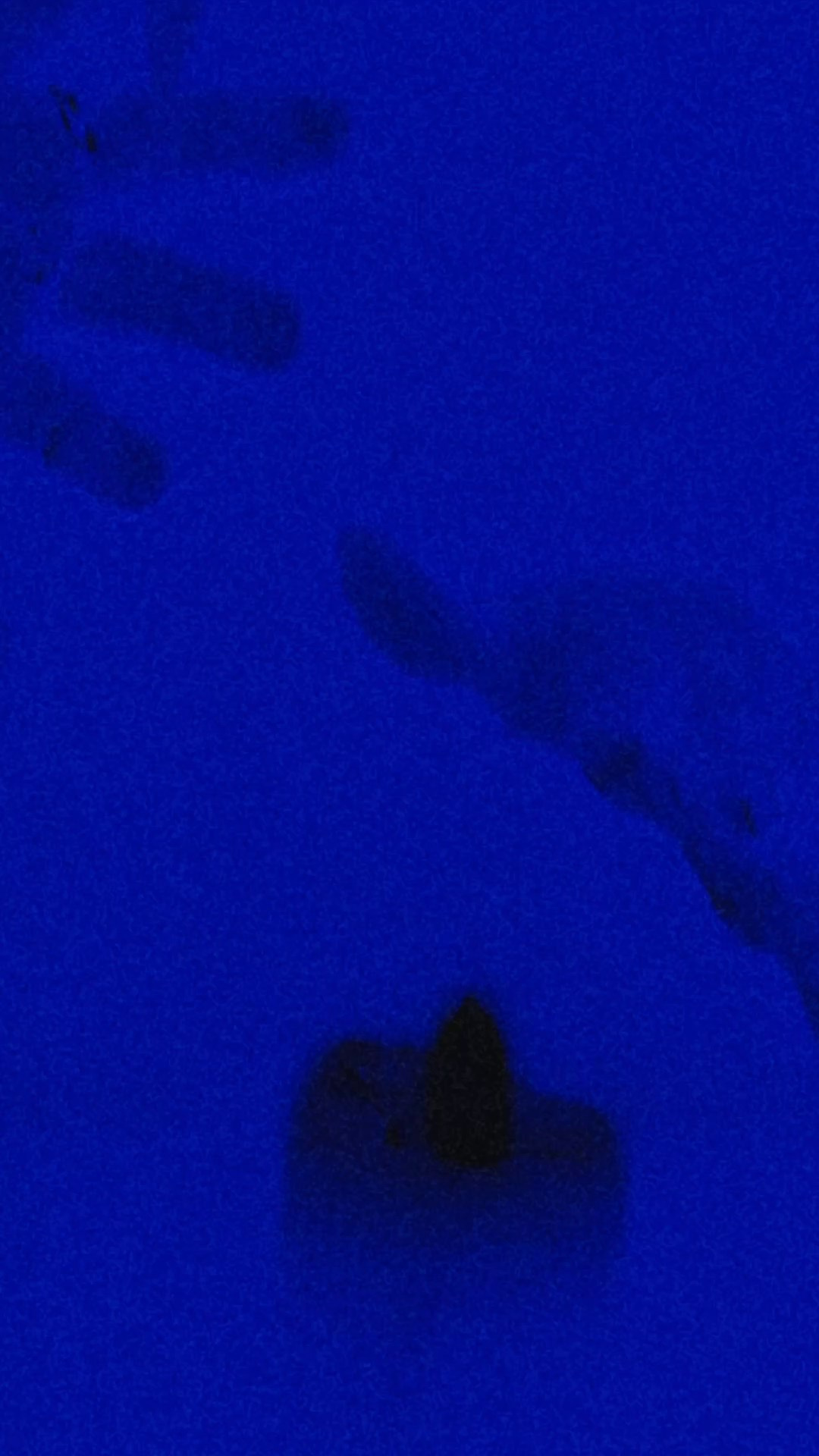 Портретный фотограф в Москве