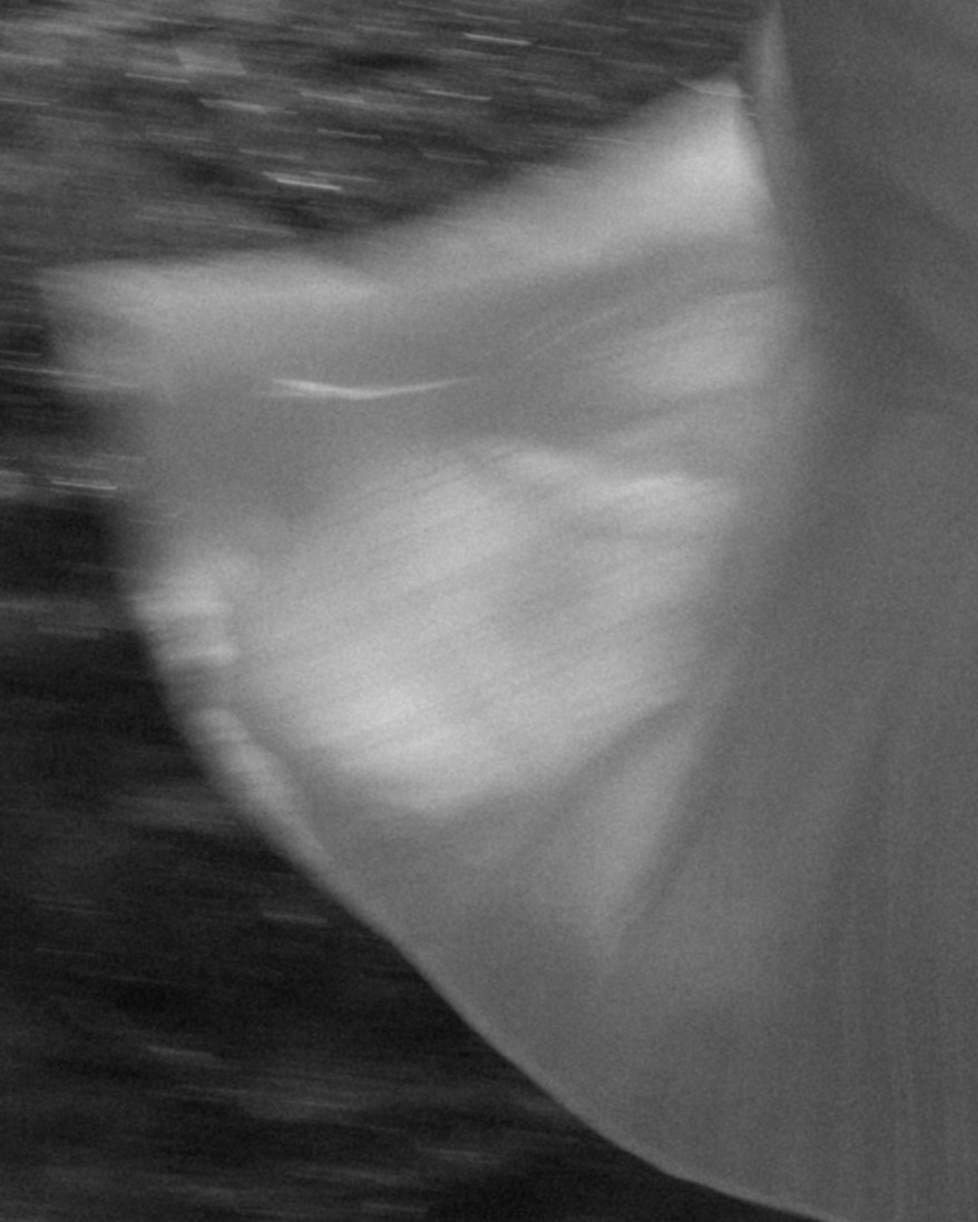 Фотосессия на море в Калининграде. Портретный фотограф в Калининграде Рита Холодова