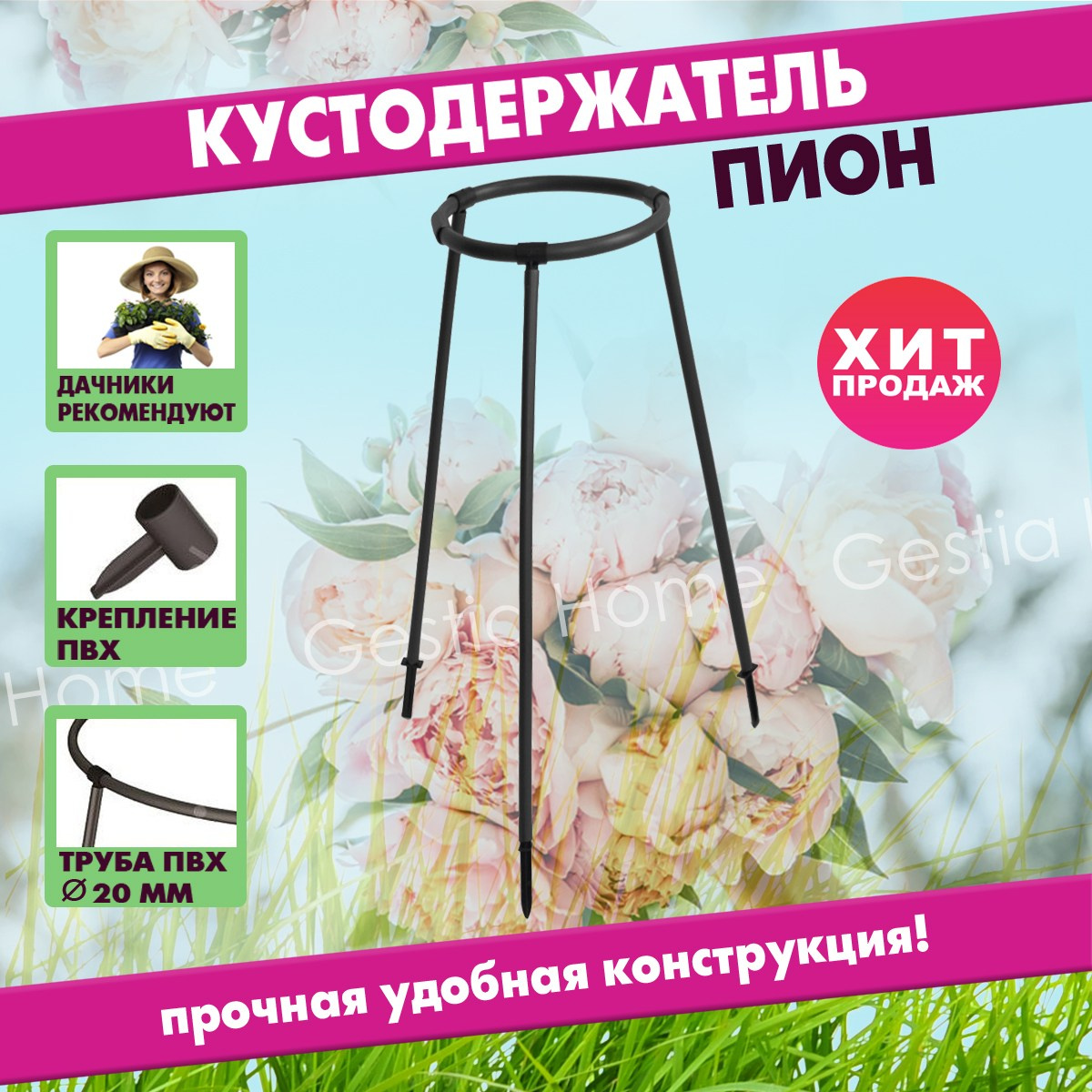 Инфографика для маркетплейсов. Семейный и детский фотограф Александра Кор. Москва