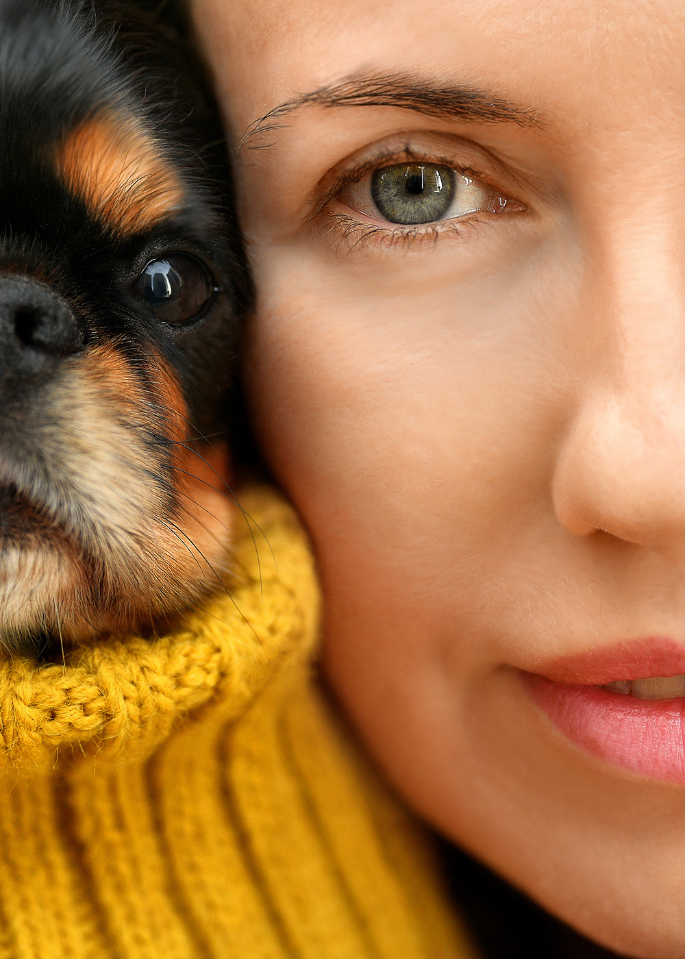 Ваш питомец. Портфолио