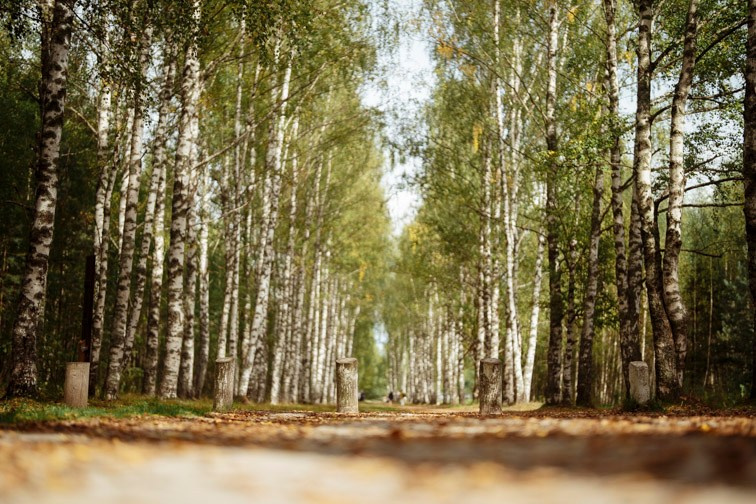 Сюжет № 12|Волкова Дарья