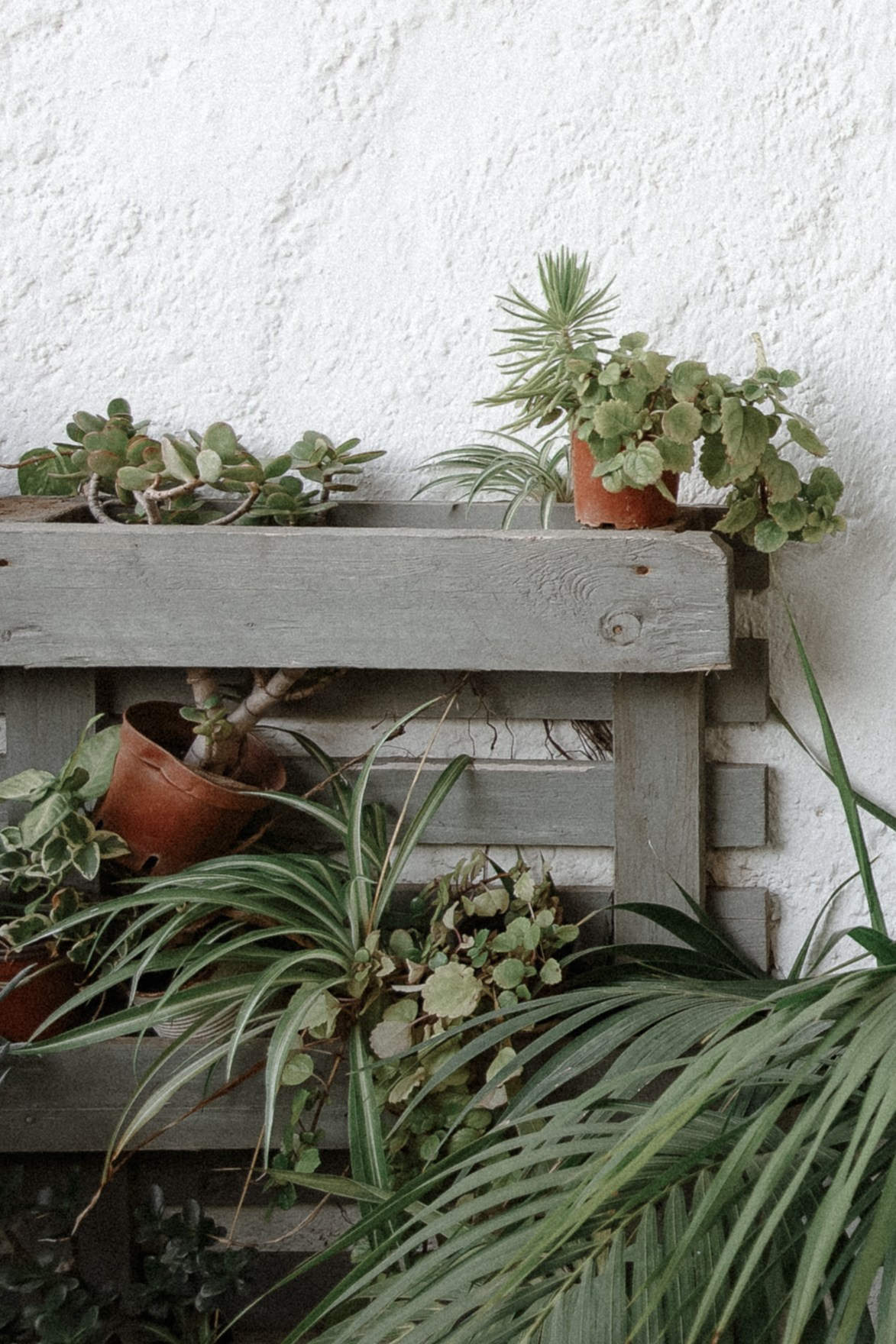 Wedding day Александр и Александра. Свадебный фотограф Колесников Антон