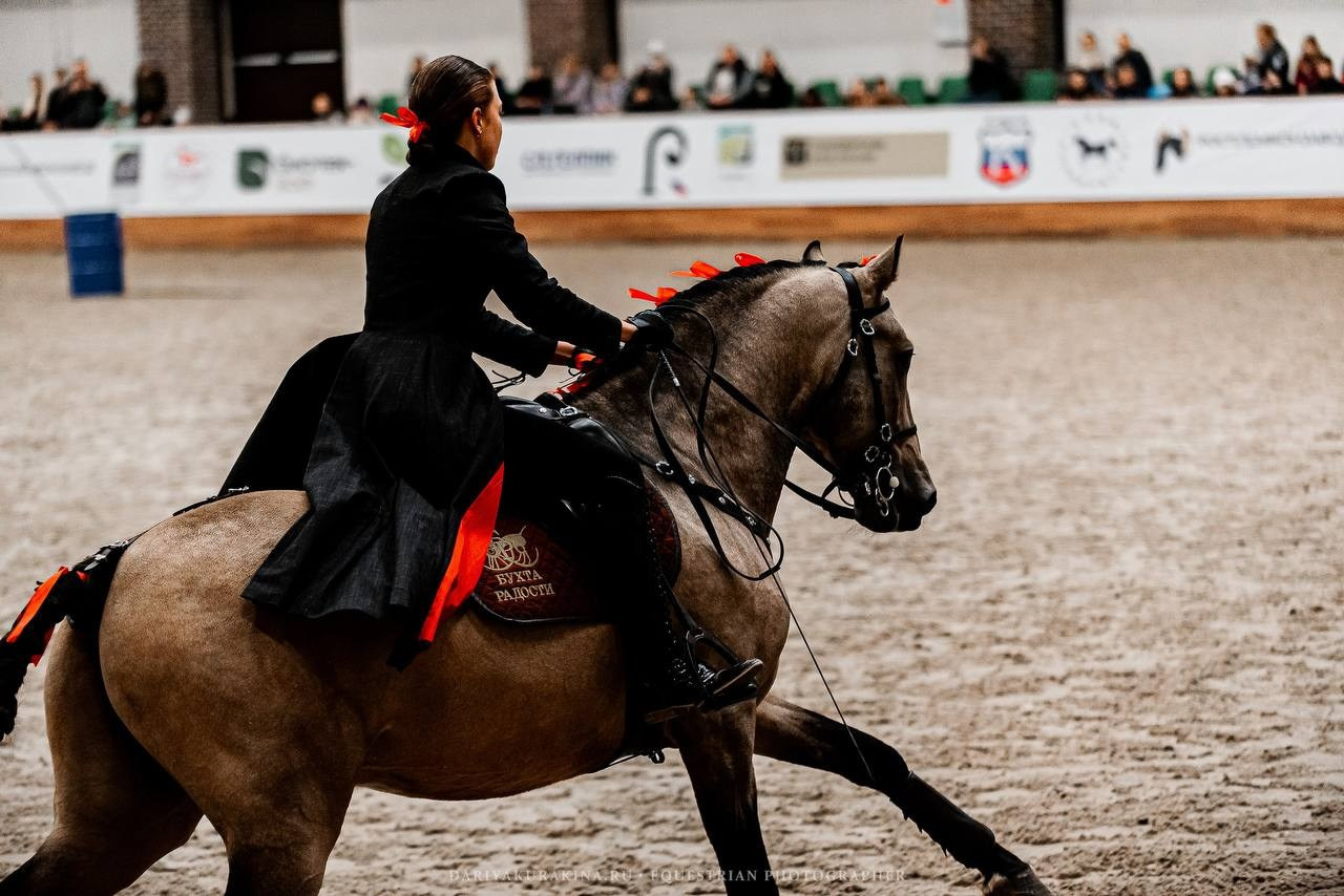 КОННАЯ РОССИЯ 2024. Конный фотограф Куракина Дарья • Фотосессии с лошадьми