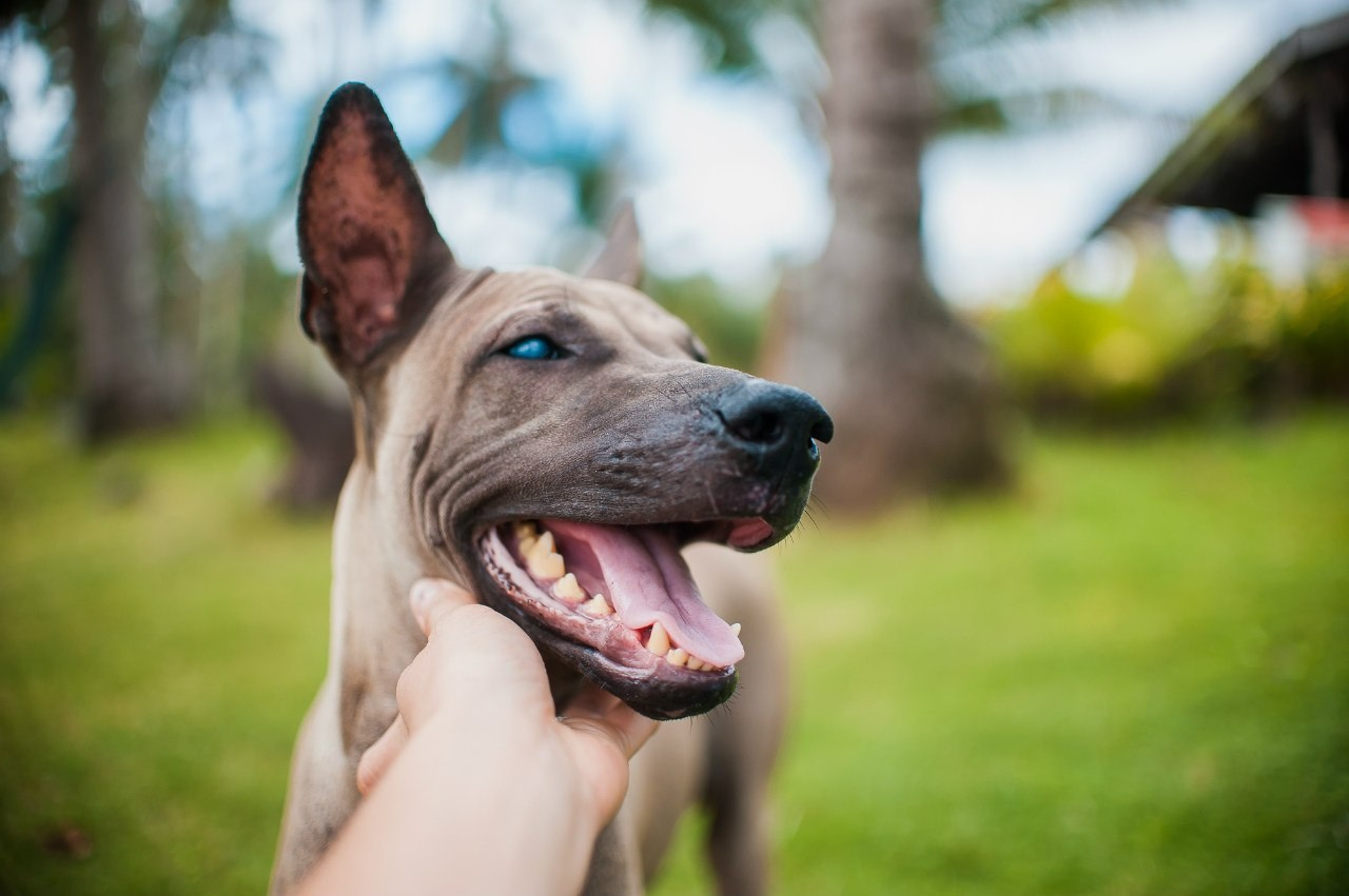 МОЙ 2014. Фотограф