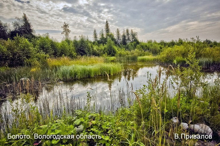 Выставка «Природа России». Фотообъединение Самарского областного отделения Союза журналистов России