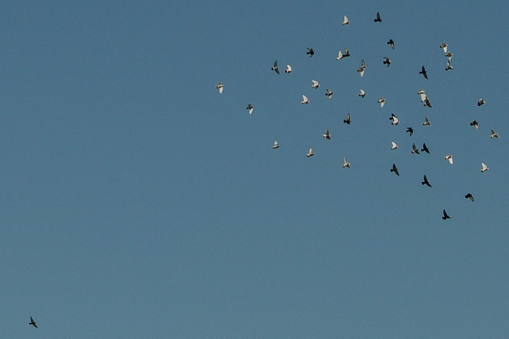 T&A. Свадебный и Семейный фотограф в городе Тимашевск и Краснодар