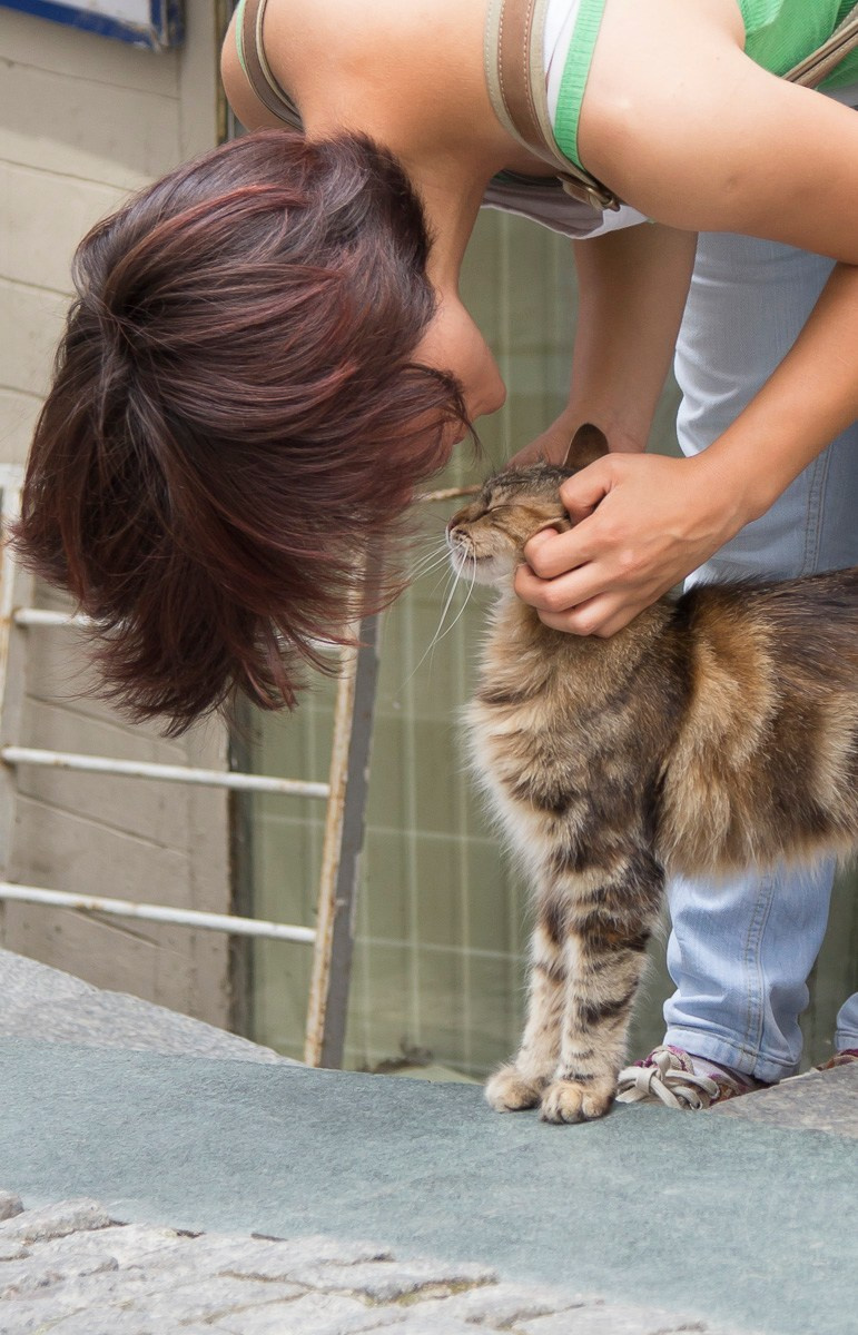 Стамбул, Турция, 2014. Фотограф Василий Буланов
