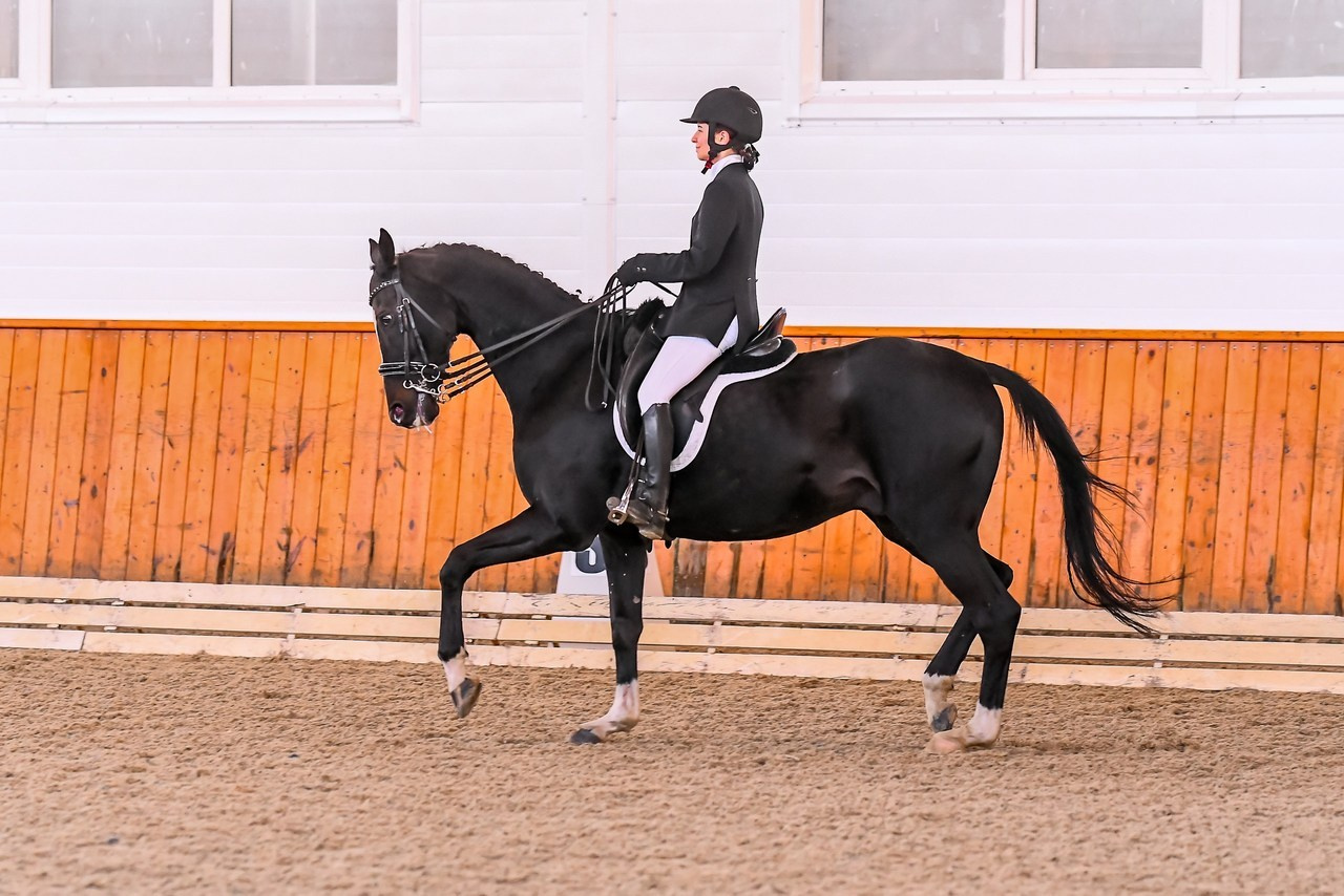 Отзывы. ТУРНИРНАЯ КОННАЯ ФОТОГРАФИЯ, Руднева Ольга и Евгений Адеев