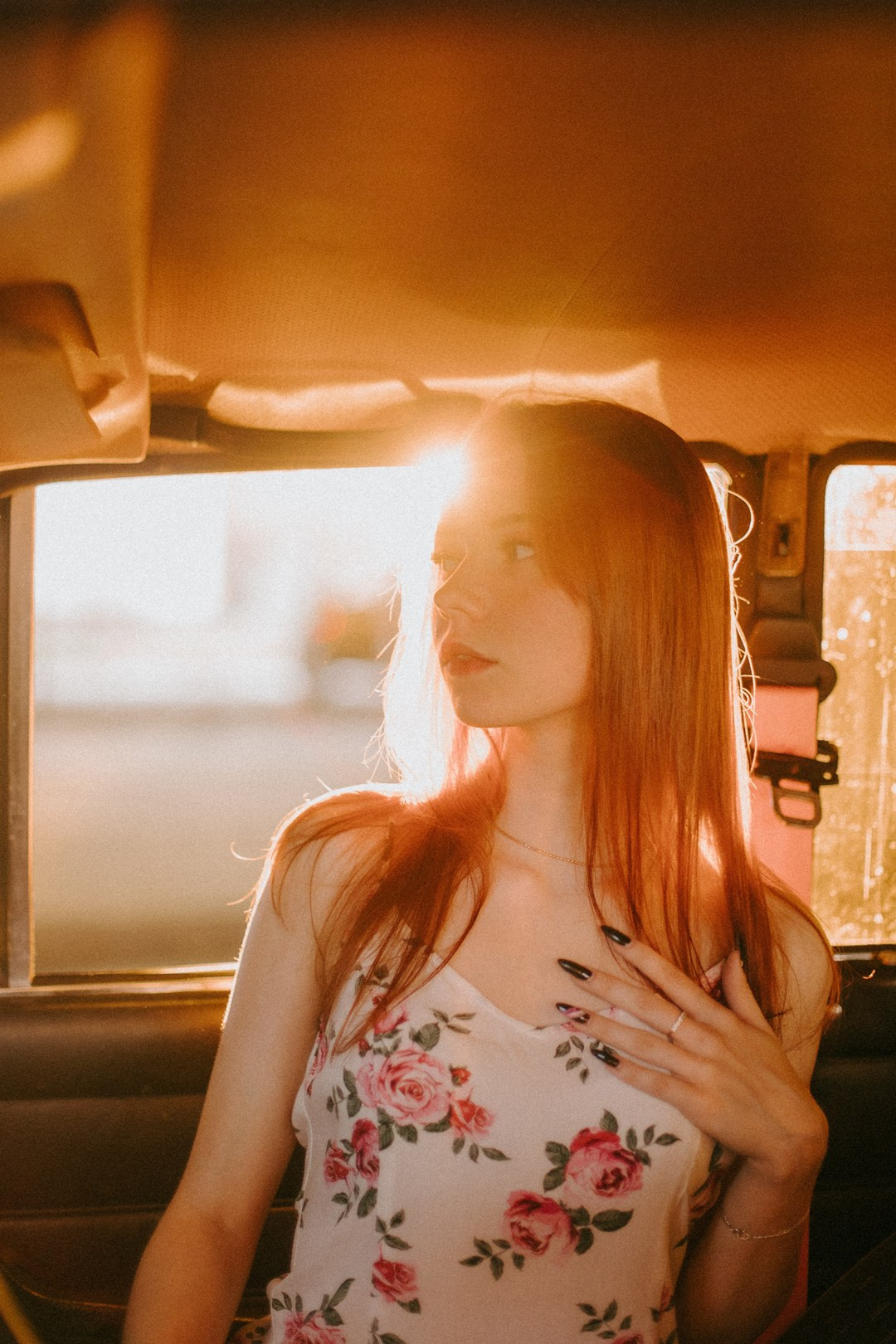 Розовый закат. Павел Померанцев