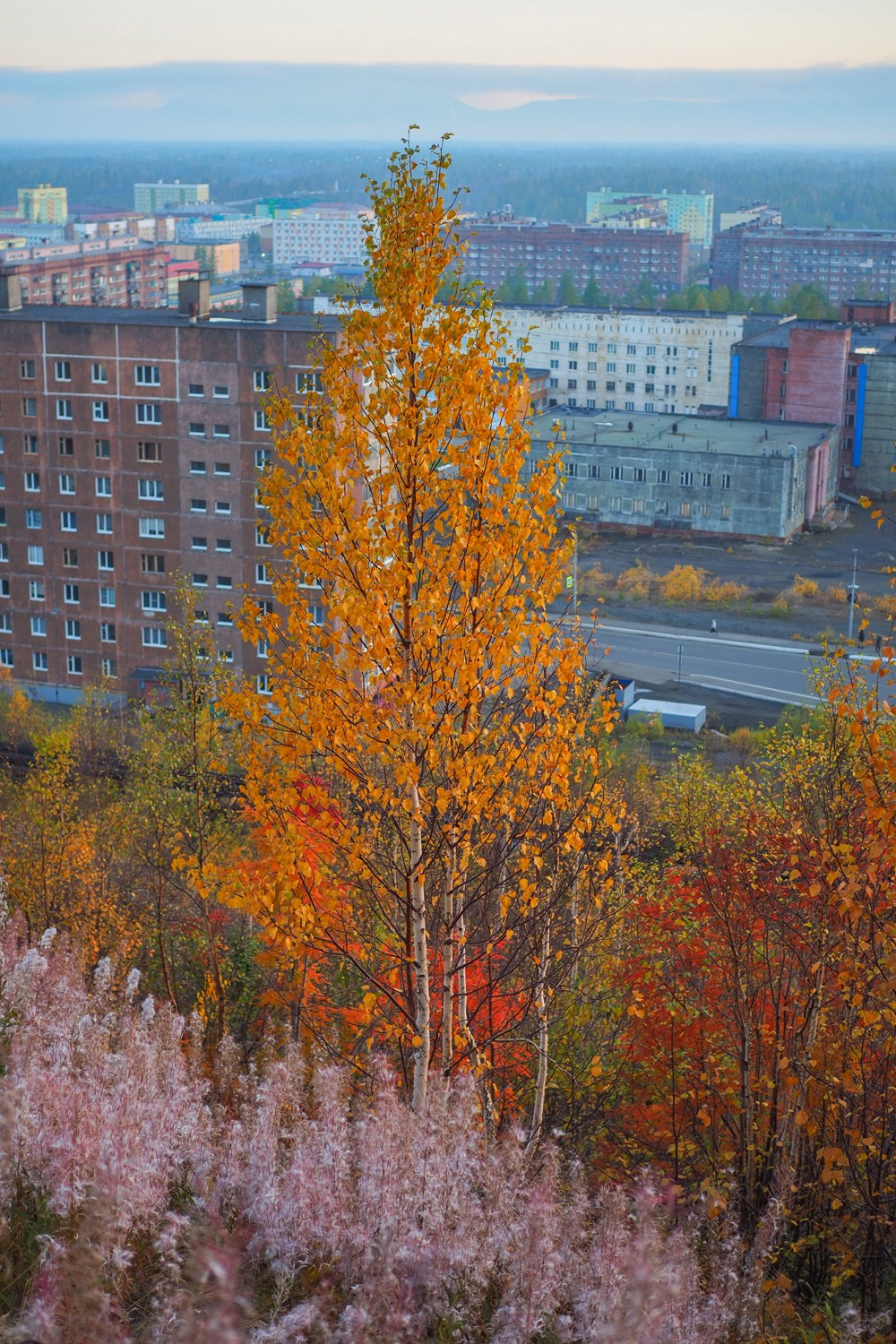 Природа.Осень. Талнах.рф