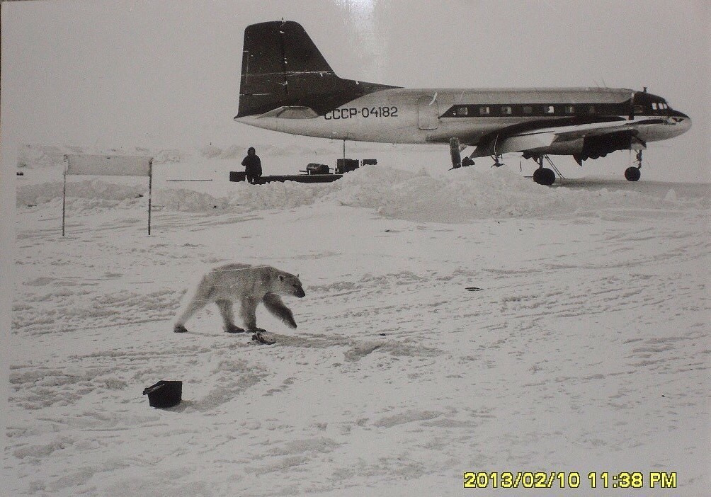 Исторические фотографии. Фотоальбом показывающий увлекательный мир авиации и мир медведей Андрея Иванова