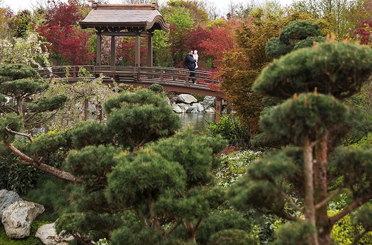 КРАСНОДАР. Свадебный и семейный фотограф/видеограф в Краснодаре Наталья Осинская