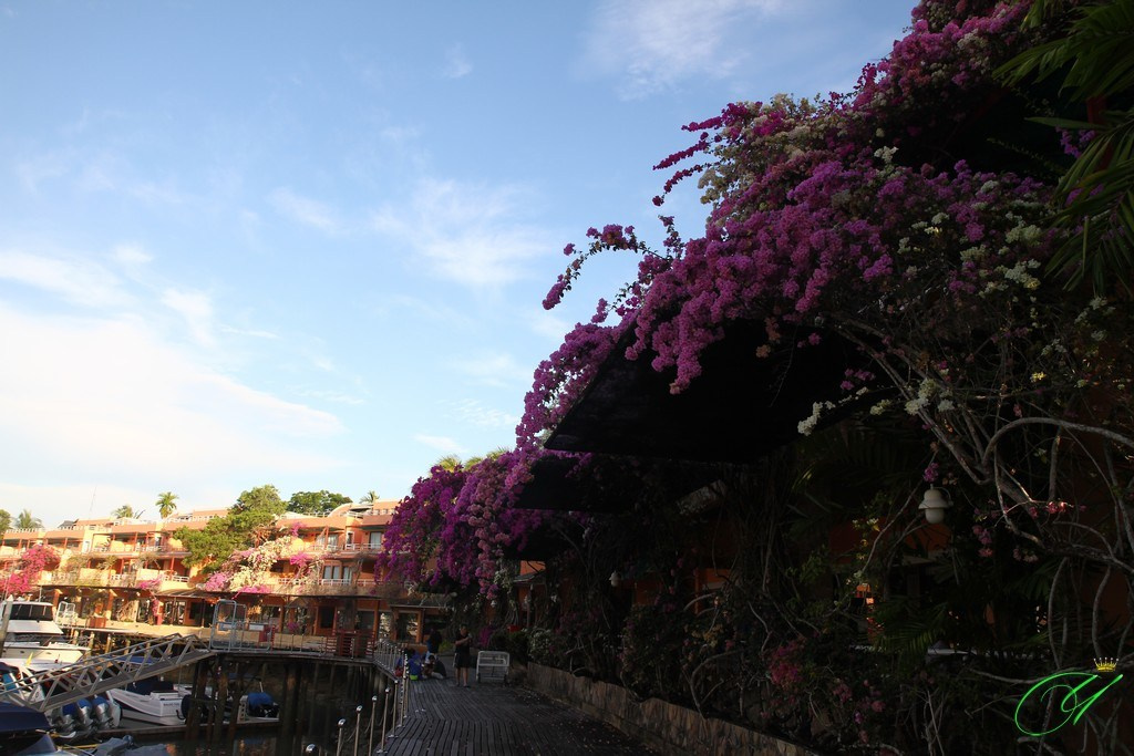 Тайланд. Пхукет 2013. Улица, люди, жизнь…