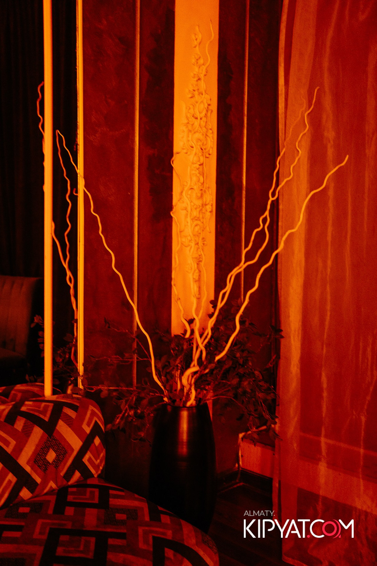 УХО И МЕДВЕДЬ НА КУРМАНГАЗЫ. КИПЯТКОМ АЛМАТЫ!