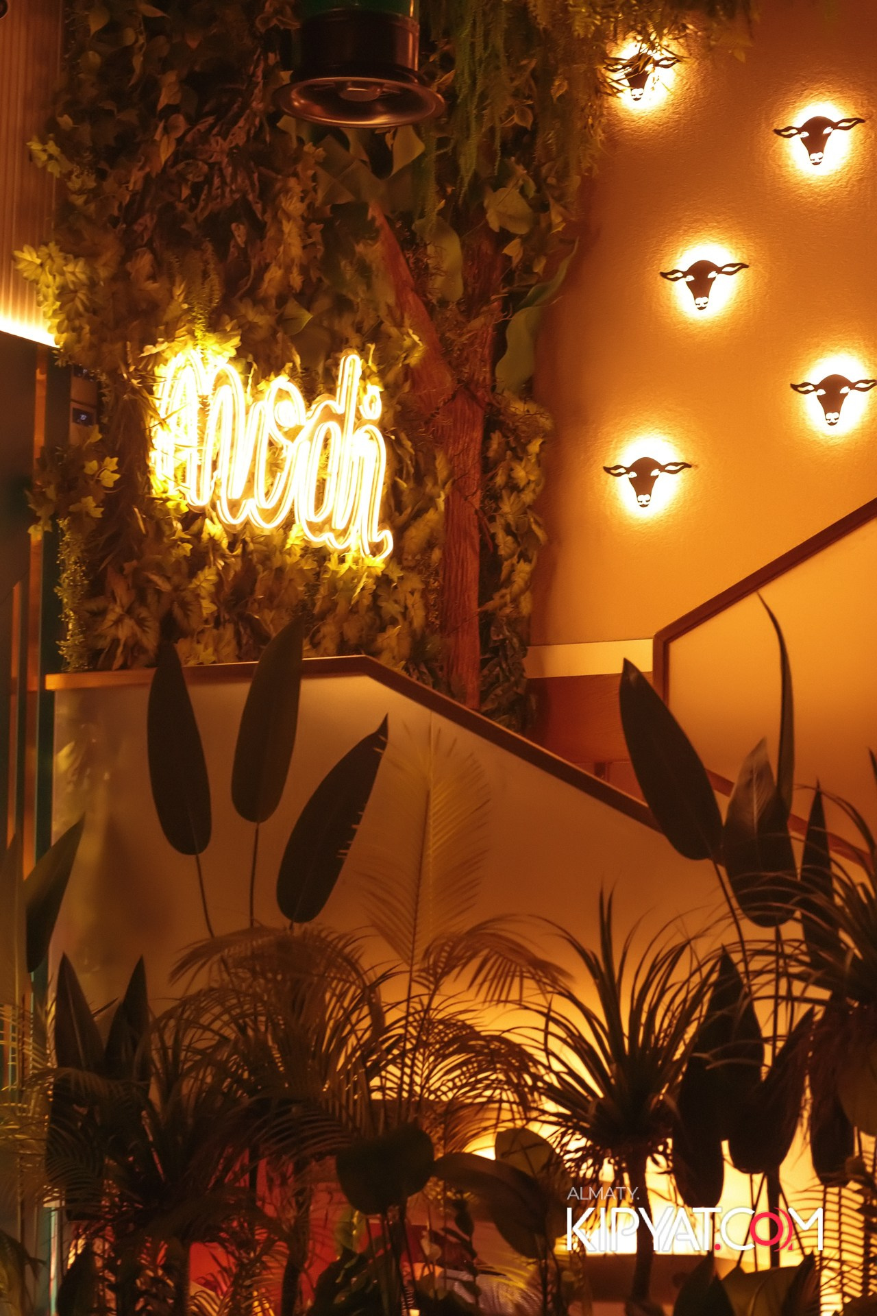 Modi. КИПЯТКОМ АЛМАТЫ!