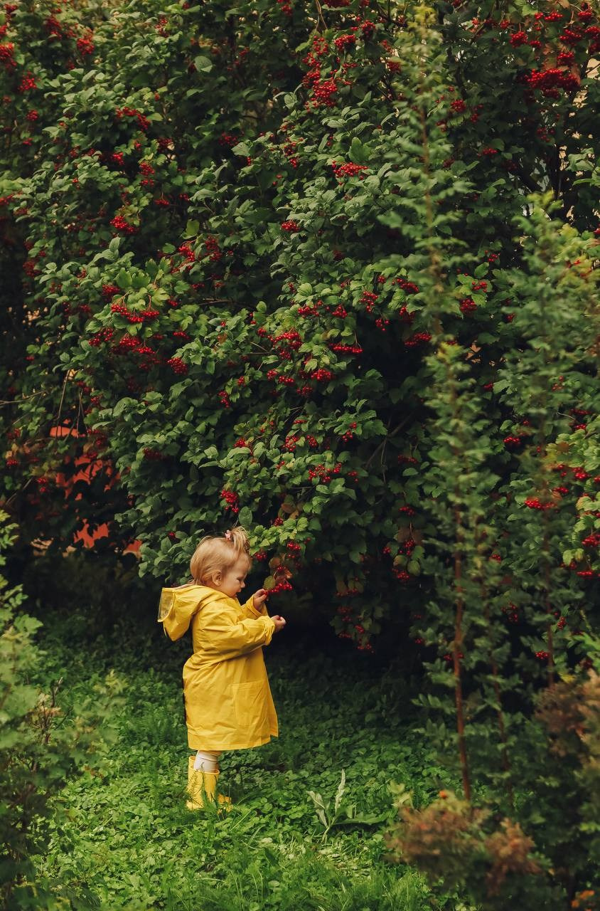 Дети. Фотограф в Коломне, Рязани, Москве. Готовность фото на следующий день