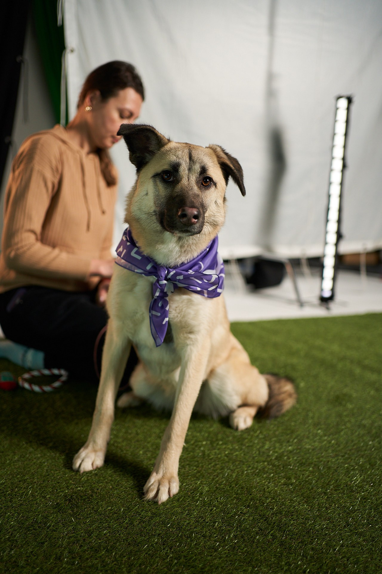 Проект «Андердоги» для коллаборации Фонда «Рэй», Sports.ru, Пари. Фотограф анималист Москва Дарья