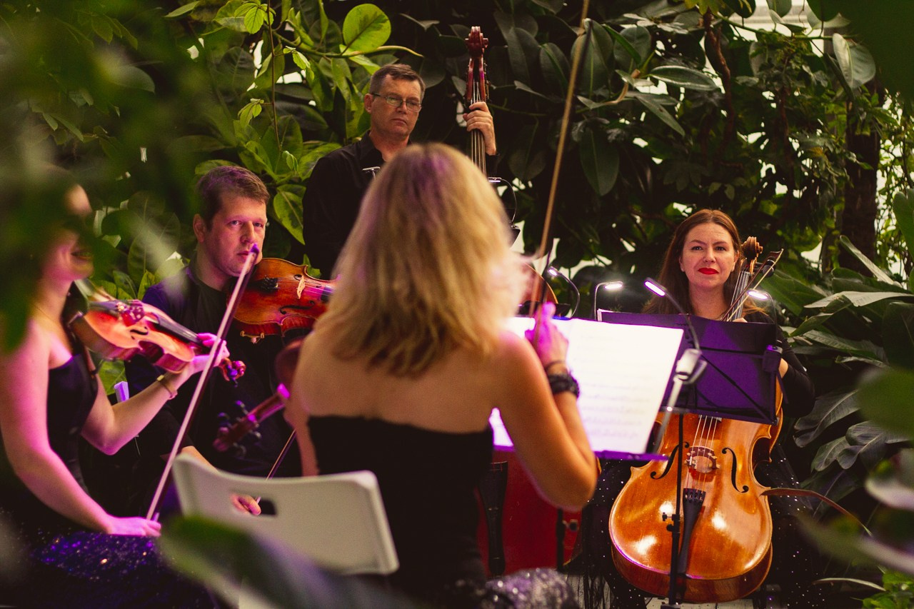 Petro Art — квартет в Таврическом саду (Рок Хиты). EvgenyCraft