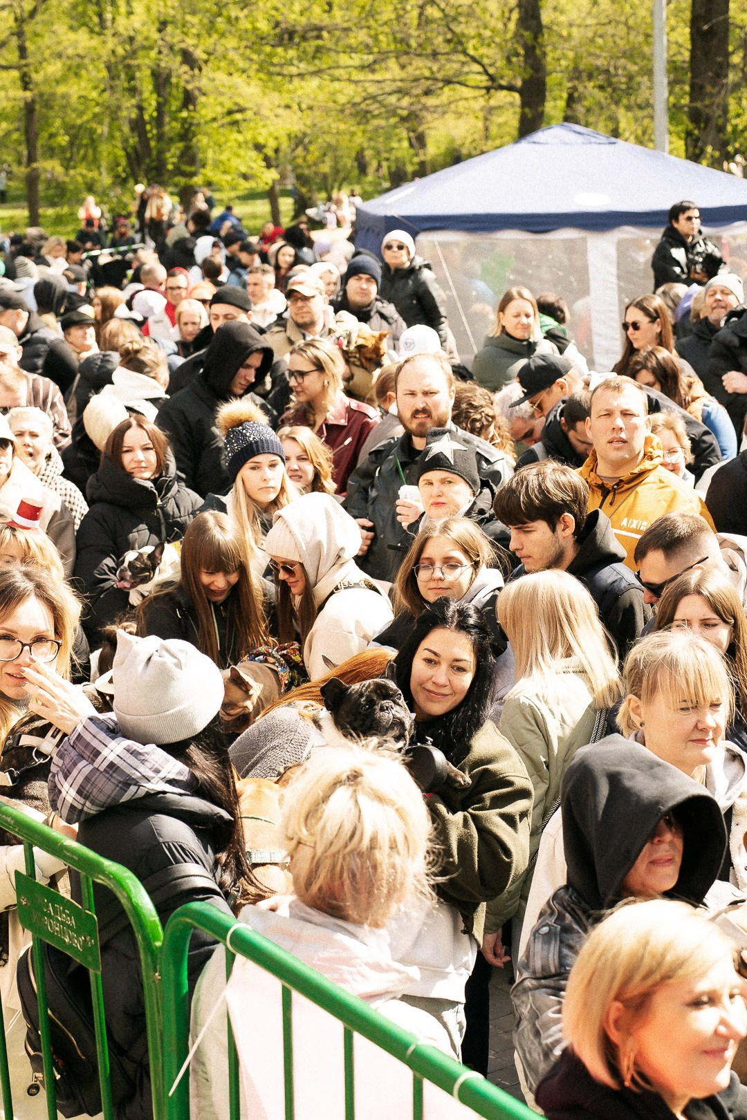 Парад Бульдогов. Axenov_eugene