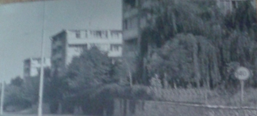 Улица Волкова. Фотоальбом истории города Лермонтов