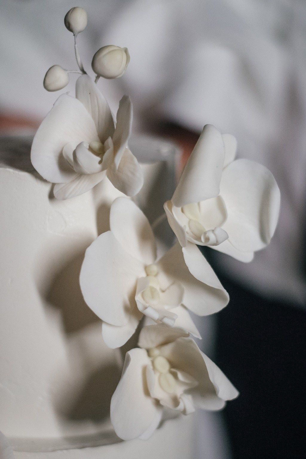 Антон и Екатерина Лес Лис Белгород. Свадебный фотограф Белгород