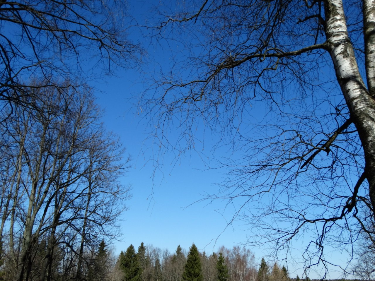 «Весенний переполох» Загородный выезд | 16-17.04.2016. Галерея Фантим