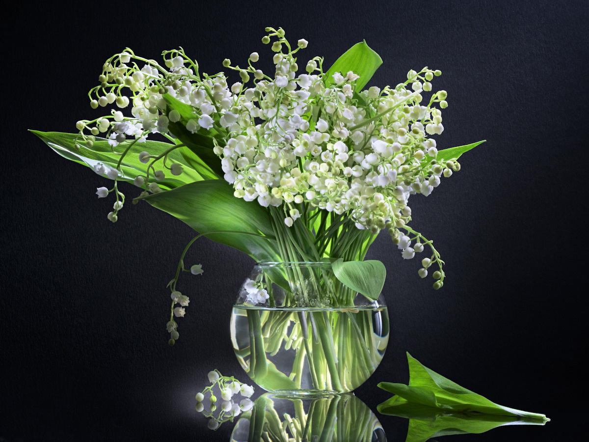 Художественный натюрморты, авторский стиль. Устремляясь ввысь… (фото от автора с ником Tom Fincher)