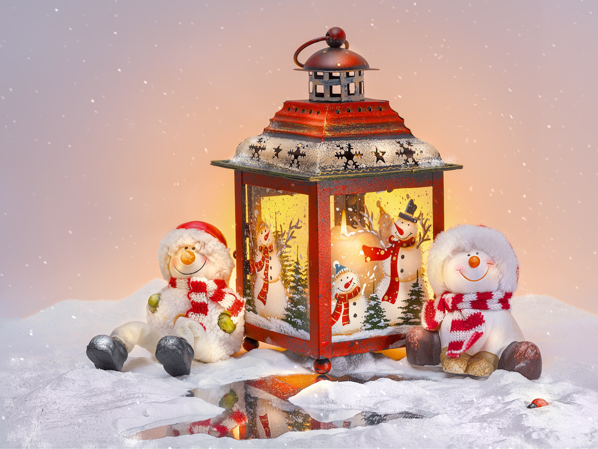 Художественный натюрморты, авторский стиль. Устремляясь ввысь… (фото от автора с ником Tom Fincher)