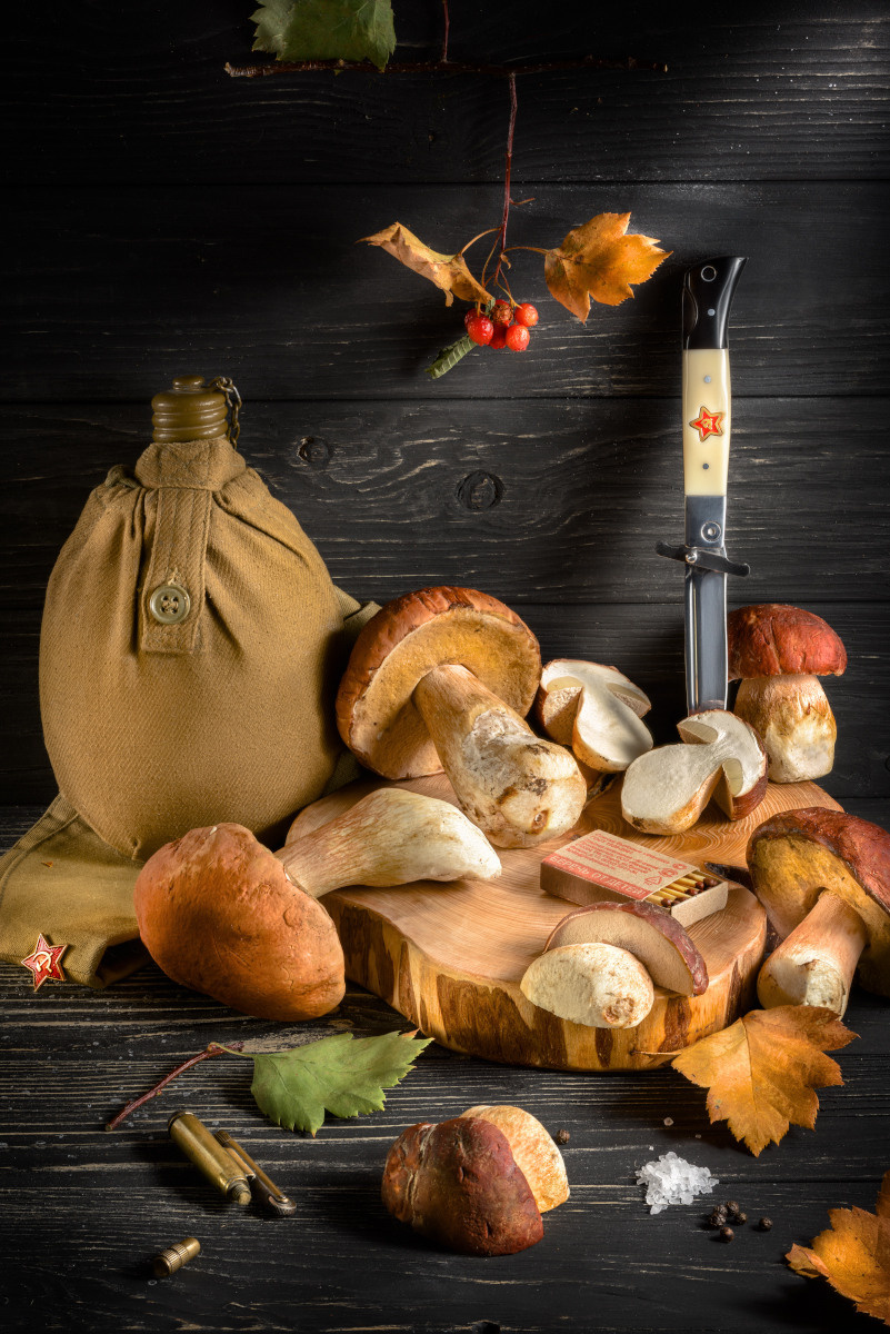 Художественный натюрморты, авторский стиль. Устремляясь ввысь… (фото от автора с ником Tom Fincher)