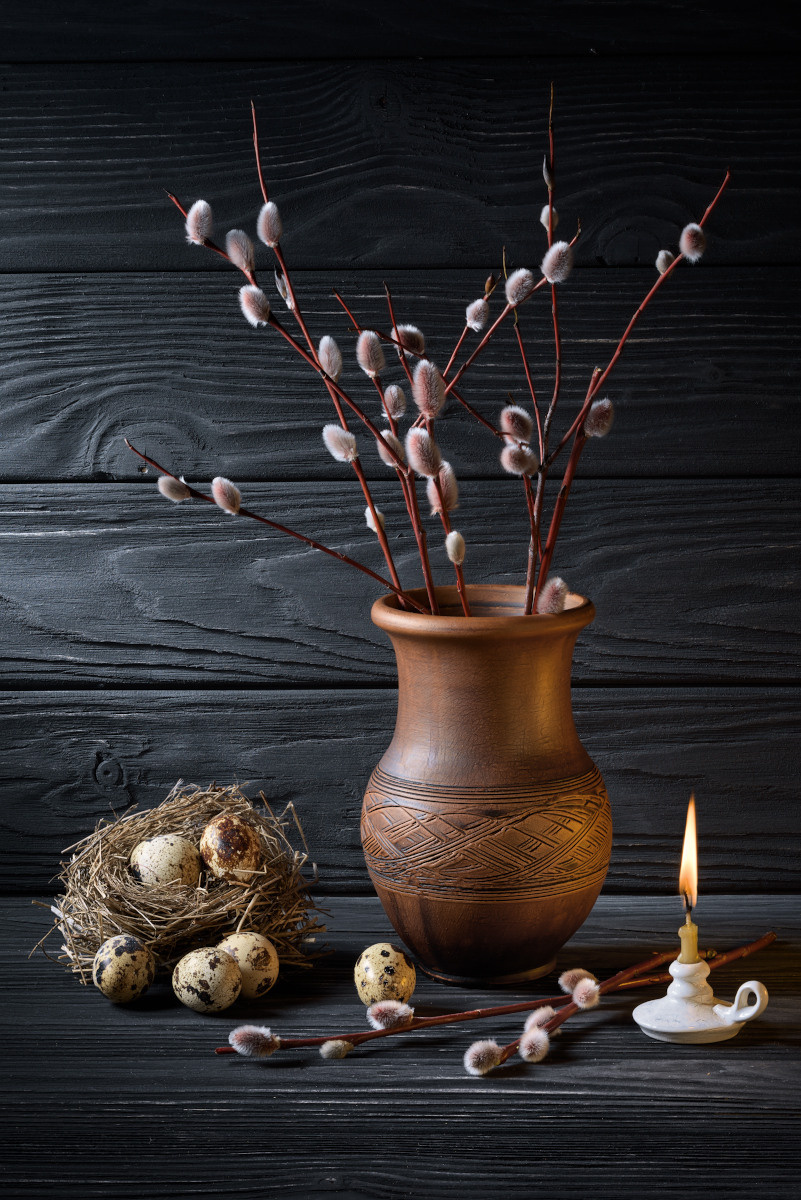 Художественный натюрморты, авторский стиль. Устремляясь ввысь… (фото от автора с ником Tom Fincher)