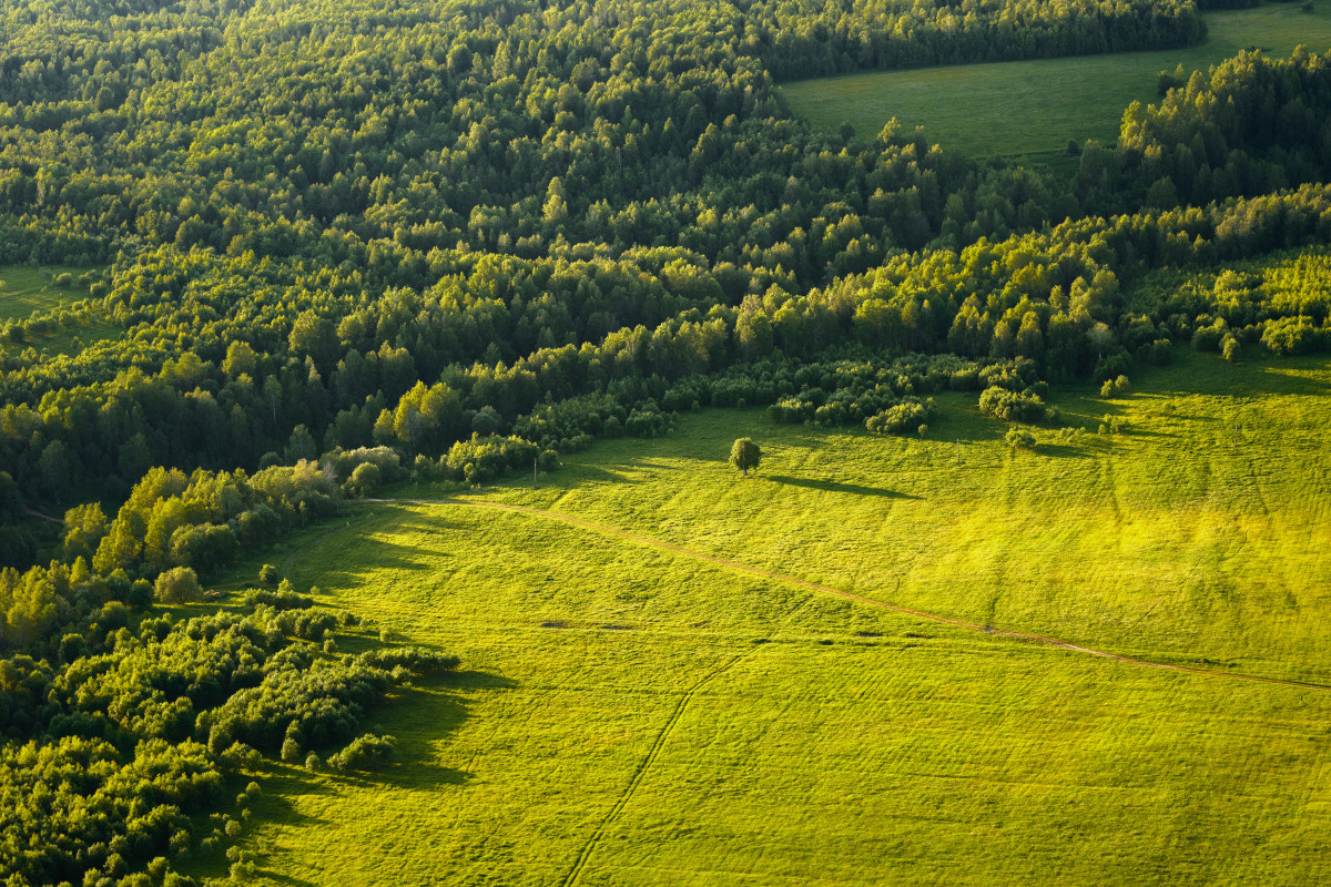 Фотографии видов из кабины самолёта, авиационной техники и лётчиков. Устремляясь ввысь… (фото от автора с ником Tom Fincher)