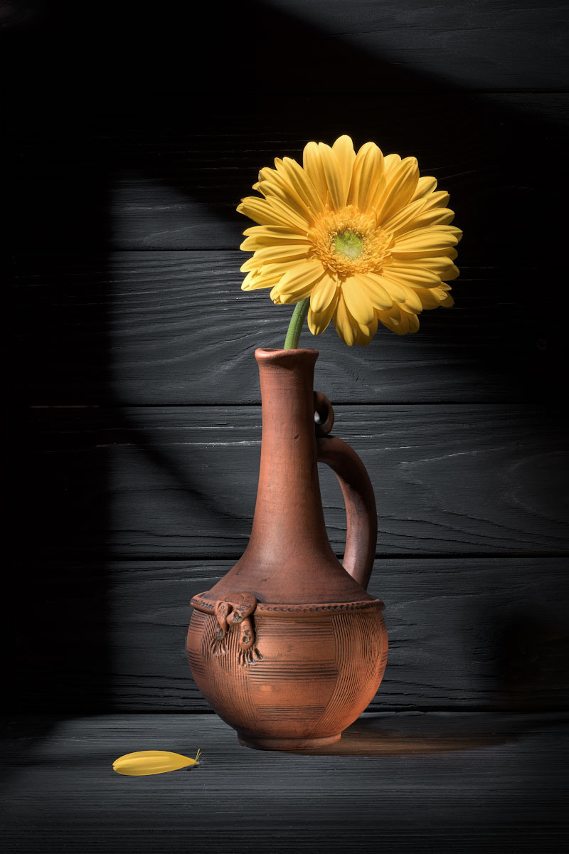 Художественный натюрморты, авторский стиль. Устремляясь ввысь… (фото от автора с ником Tom Fincher)