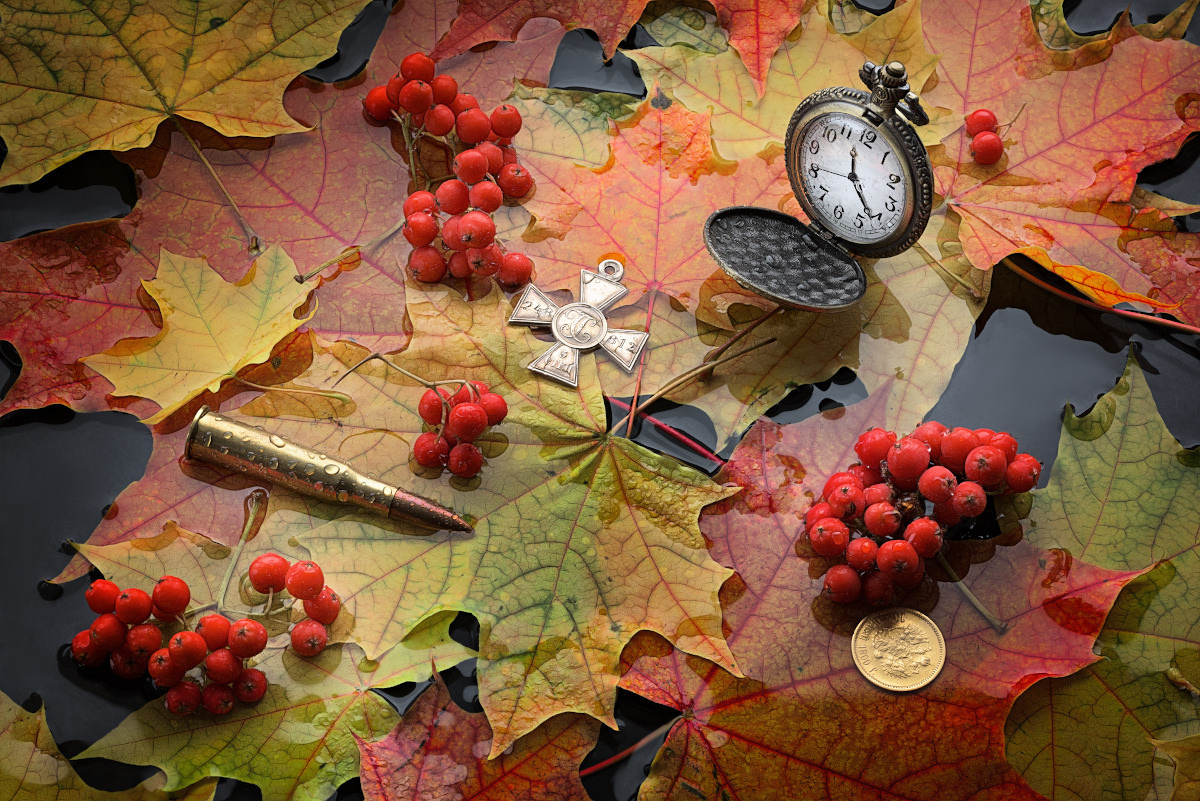 Художественный натюрморты, авторский стиль. Устремляясь ввысь… (фото от автора с ником Tom Fincher)